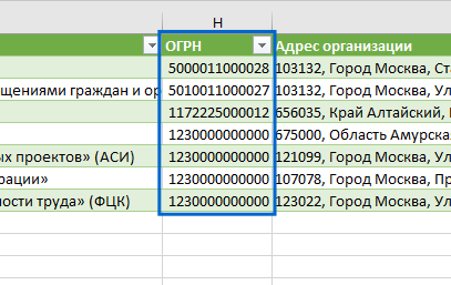 Рисунок 17. Корректное отображение значений в столбце «ОГРН»