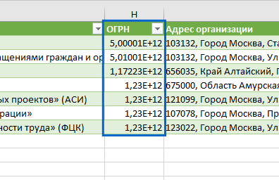 Рисунок 10. Некорректное отображение значений в столбце «ОГРН»